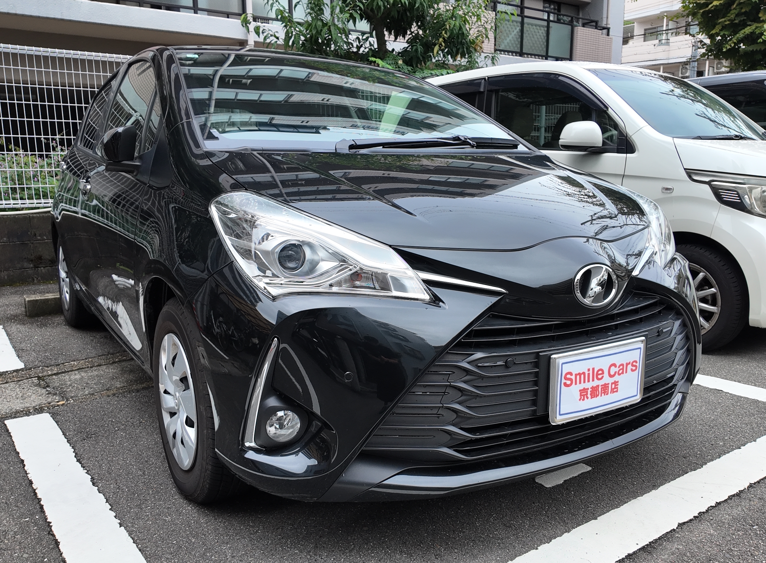 トヨタ ヴィッツを最短即日で高額買取！出張査定で安心のフルサポート